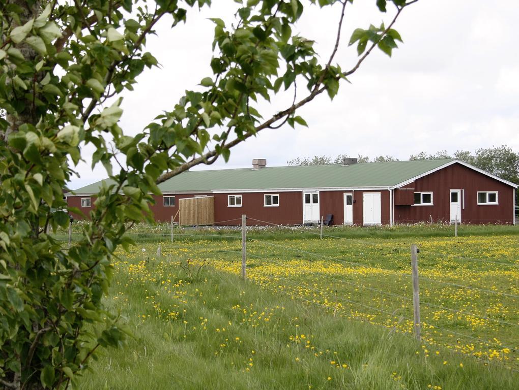 Kaldbakur Guesthouse Heimaland Екстер'єр фото